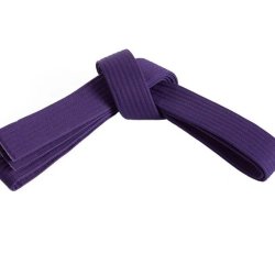 Adult  Purple  Belt-Kickboxing