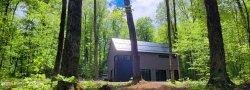 Rooted in Rememberance: Spring Retreat for Grief (Saturday, May 24th)