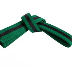 Youth High Green Belt-Kickboxing
