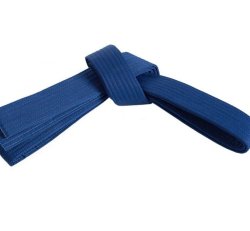 Adult Blue Belt-Kickboxing