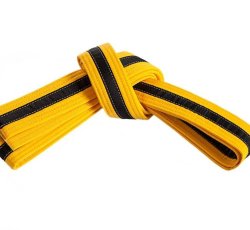 Youth High Gold Belt-Kickboxing