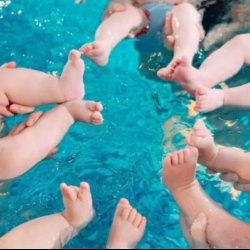 Group Littlest Fish 5-Week Series