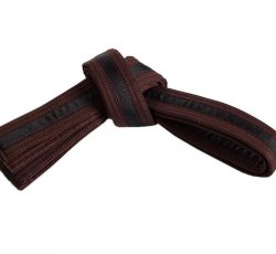 Youth High Brown Belt-Kickboxing