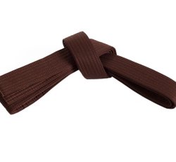 Youth Brown Belt-Kickboxing