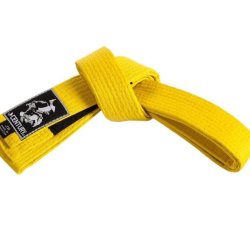 Adult Yellow Belt-BJJ