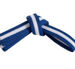 Youth Low Blue Belt-Kickboxing