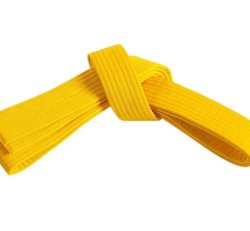 Adult Yellow Belt-Kickboxing