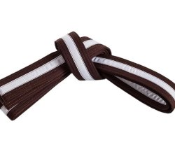 Youth Low Brown Belt-Kickboxing