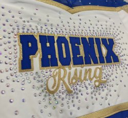 Phoenix Rising Cheer Uniform Top/Leo Only