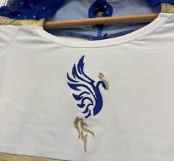Phoenix Rising Cheer Uniform Top/Leo Only