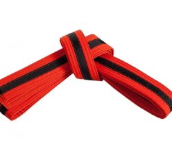 Youth High Orange Belt-Kickboxing