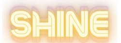 SHINE Appreciation Picnic