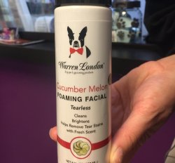 Warren London Cucumber Melon Foaming Facial