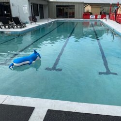 Swim Lesson Evaluation & Assessment