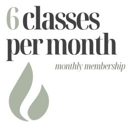 monthly membership - 6 classes / month