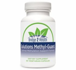 SOLUTIONS METHYL-GUARD (OPTIMAL METHYLATION SUPPORT)