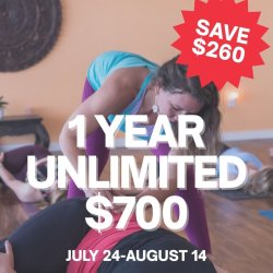 2025 Anniversary - 1 Year Unlimited - $700