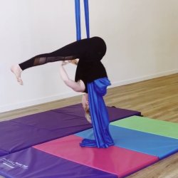 Adult Aerial Series