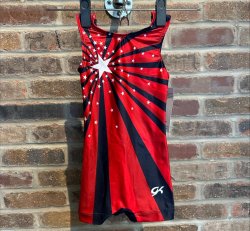 GK Stars Patriotic Star Gymnastics and Dance Biketard