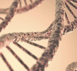 DNA Test