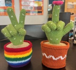 Crotchet Cactus Cacti