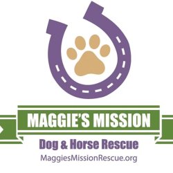 Maggie's Mission Event Drop In