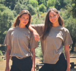 Sculpt & Saddle Shirts
