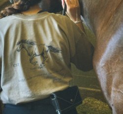 Sculpt & Saddle Shirts