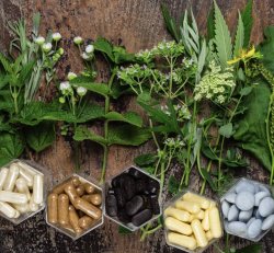 Personalized Supplement Plan – Backed by Your DNA