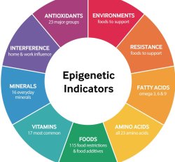Epigenetic Hair Analysis Mail Kit + Report/Consult