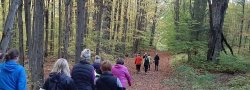 Fall Retreat: Sweat & Soothe - Saturday October 25th, 2025