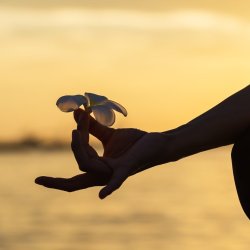 Tier 3-Yoga for Grief & Inner Listening