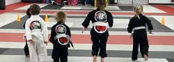 Jiu Jitsu Belt Test