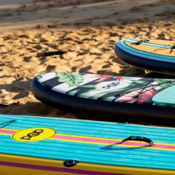 3hr Board Rental