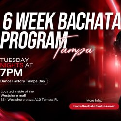 Beginner & Intermediate - 6 Week Bachata Program w/Daniel & Angie at The Dance Factory Tampa Bay!