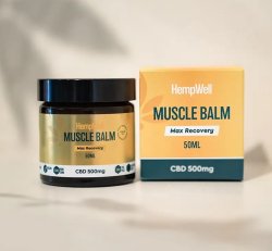 Hempwell 500mg Muscle Balm
