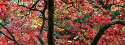 Harvest of the Heart - one day retreat with James and Kelly-Anne
