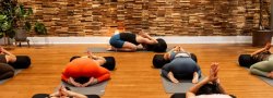Prāamayakosha & The Five Vāyus | Yoga Course