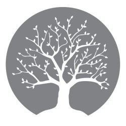 10 Class Pass (Yoga, Pilates & Fitness)
