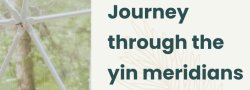 Journey Through The Meridians: 5-week Yin Yoga Series