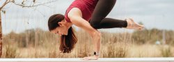 Arm Balance and Inversion Workshop