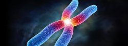 8/22/25 SONG Laser - ReGenesis Transformation for Optimal Health & Vitality