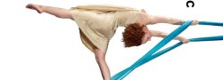 8 week adult silk program