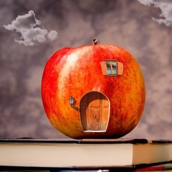 Recharge + Reset for Teachers & Educators Esthetics Appointment