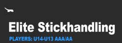 Elite Stickhandling  Camp | U14+U13 AAA/AA