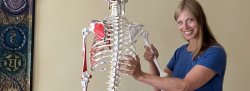 Shoulder Rebab & Strength: 5-Week Series (In Person)