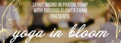 Yoga in Bloom_2025