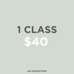 1 Class Session