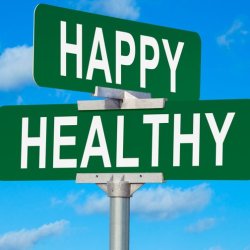 8 Hour Practitioner Package