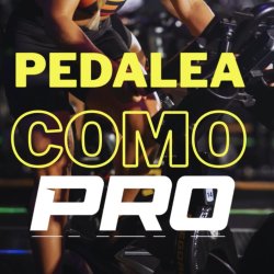 INSCRIPCIÓN PRO